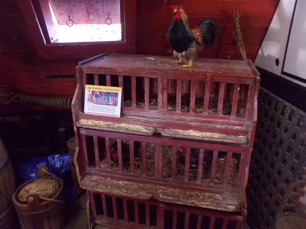 Chickens, geese and ducks were carried on board as live food. Officers enjoyed eggs. Fresh meat was reserved for the officers and those sick with scurvy.