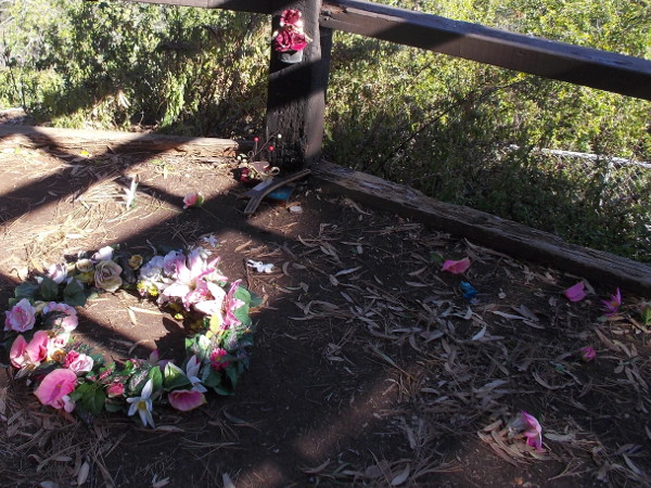 An upset wreath of fresh flowers. A broken altar, left behind. Why?