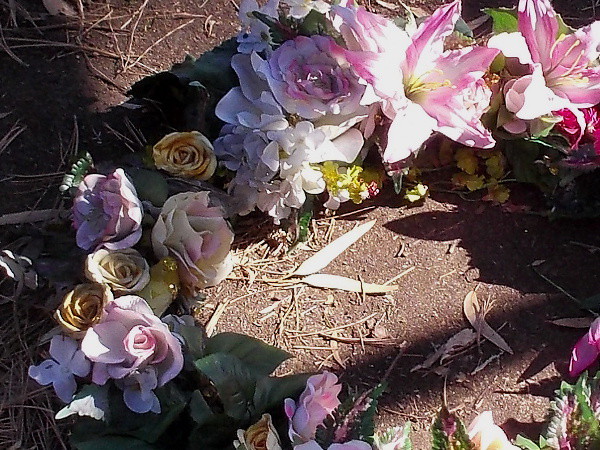 A beautiful mystery. Perhaps it contains sorrow.