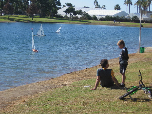 A fun day in the park for young and old alike.