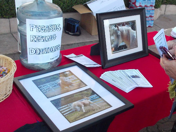 Please visit the Pegasus Rising website. You can find out how you can help this worthy organization as it helps to heal a thousand veterans each year.