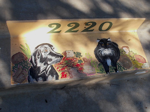 I spotted a cool doorstep by the sidewalk. It seems a resident's dog and a cat have their own special place!
