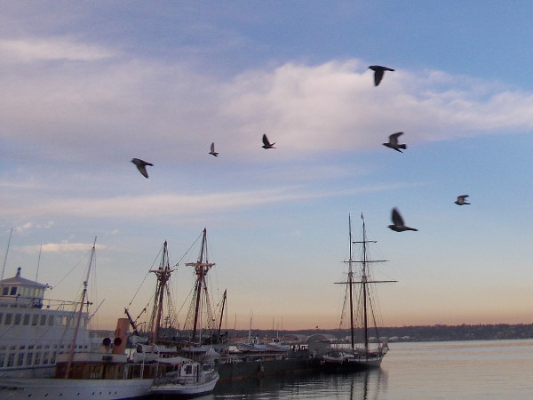 Tall ships San Salvador and Californian docked behind the USS Berkeley. Just a few of the fascinating ships you can visit at the Maritime Museum of San Diego.