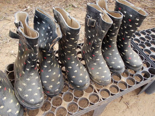A row of waterproof boots await volunteers.