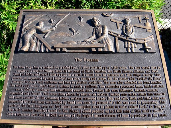 The process was smelly and messy! For tuna to go into a sandwich or salad bowl, it often traveled up to 7000 miles!