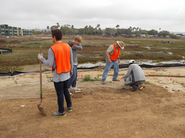 Volunteers help to restore wetlands in Mission Bay. Do you live in Pacific Beach or in San Diego. With a little elbow grease, you can make a big difference!