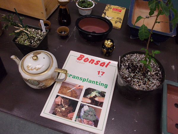 Some bonsai plants and other related items were on display during the club meeting, as well.