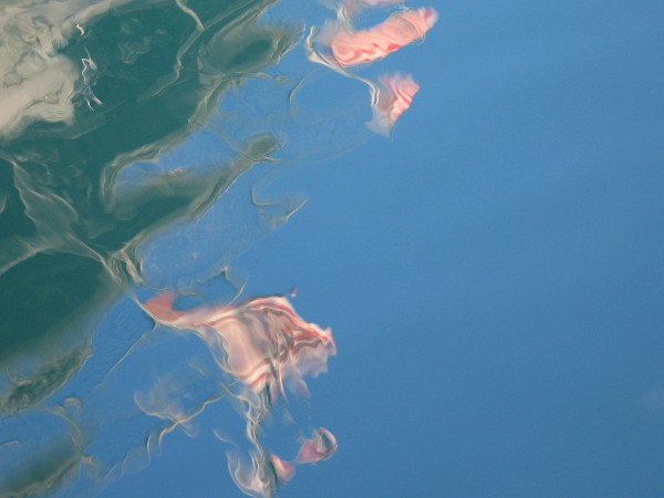 Reflections of flags at stern of USS Midway dance upon still water.