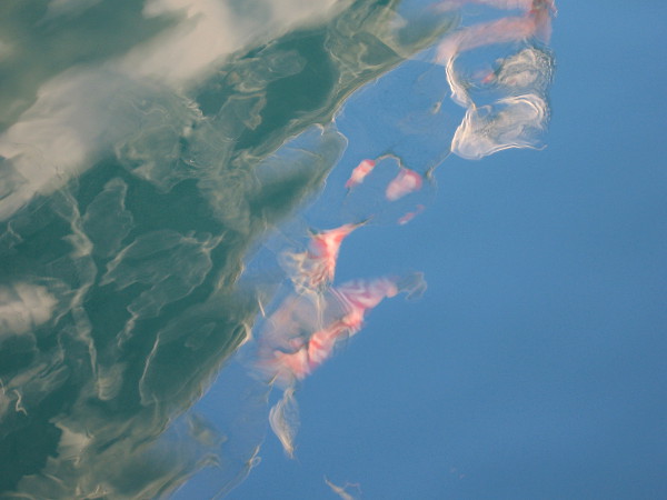 Colorful banners moved by a wild wind. Like strange, silent dreams in the liquid blue.