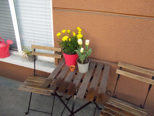 Some yellow blooms on a small table in the front patio of a Little Italy residence.