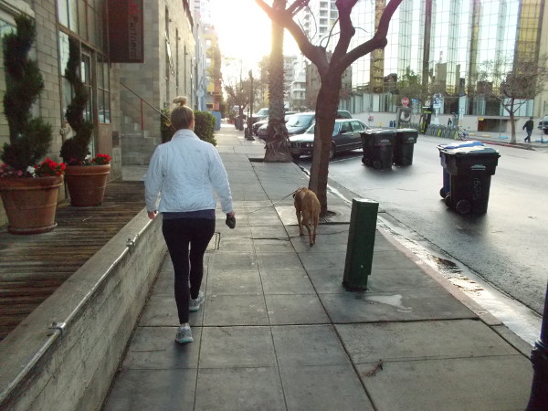 Walking with the dog up a sidewalk in Little Italy, early one spring morning after some rainfall.