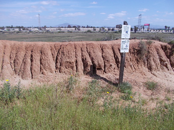 Beyond the sign lies a fragile wetland where native plants and animals are protected. I saw some birds out in the wildlife refuge.