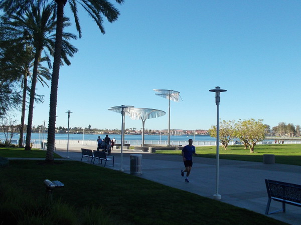 Shining trees in a cloudless blue sky.
