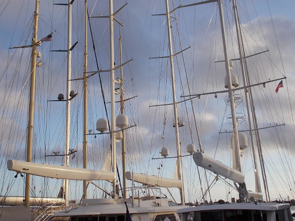 The masts of three large yachts in a row, like vertical beams of light.