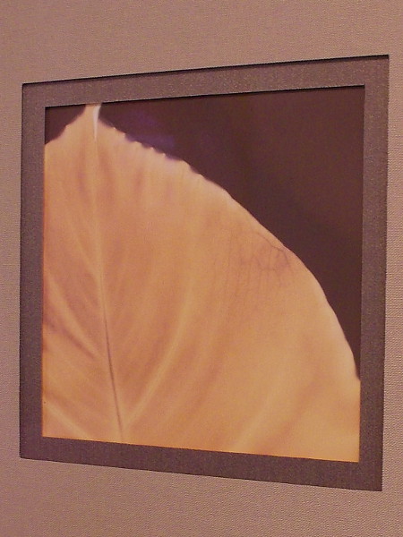 Leaf Lumen. Fantastic art created by Patricia Grabski.