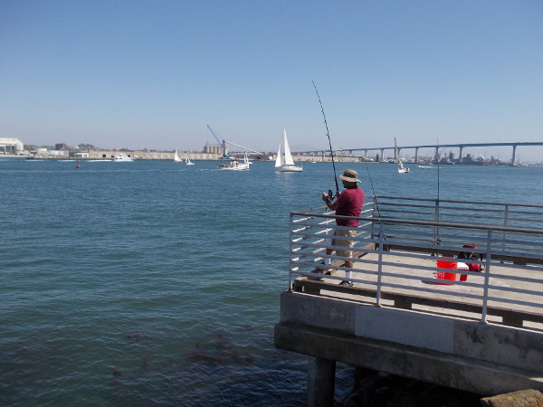 A fisherman caught something while I watched! Lots of sailboats out on blue San Diego Bay today.