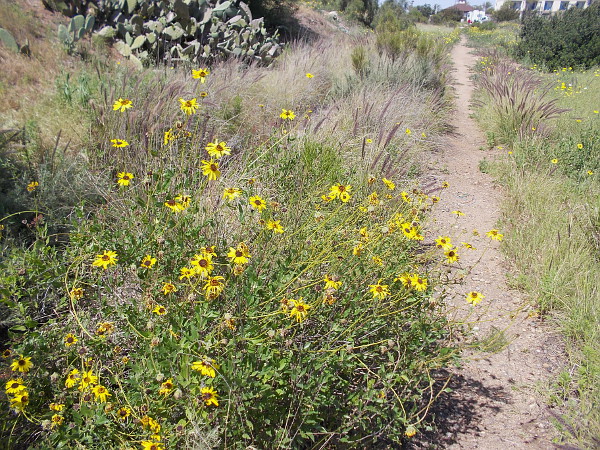 I turned about after a short hike and headed on back to the hotel parking lot.