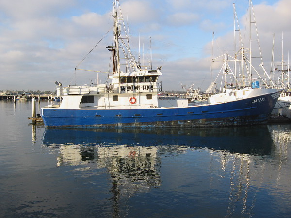 Commercial fishing vessel Dalena in San Diego's present-day Tuna Harbor.