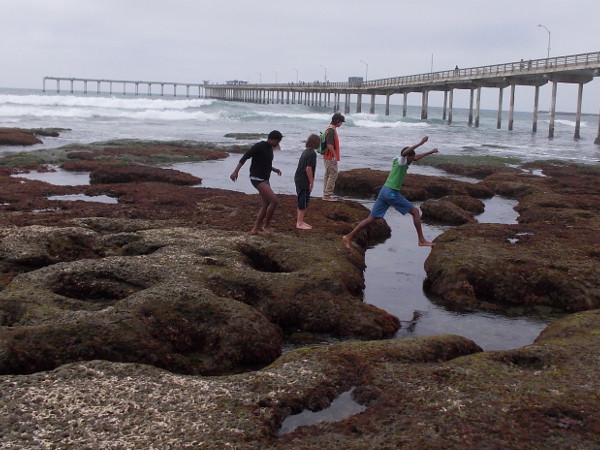 Carefree kids jump while exploring the tide pools just south of the Ocean Beach Pier.