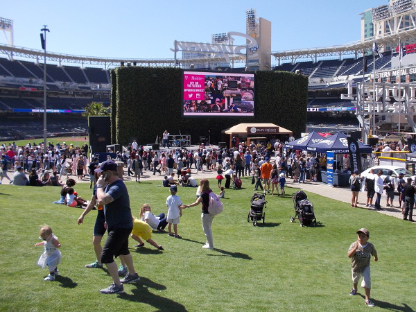 Thousands of fans turn out to get a preview of the Padres' 2016 baseball season. There were many family activities throughout Petco Park.
