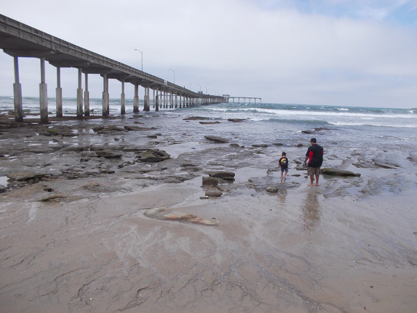 North of the Ocean Beach Pier there is a beautiful, very popular beach. Some rocks are exposed at low tide.