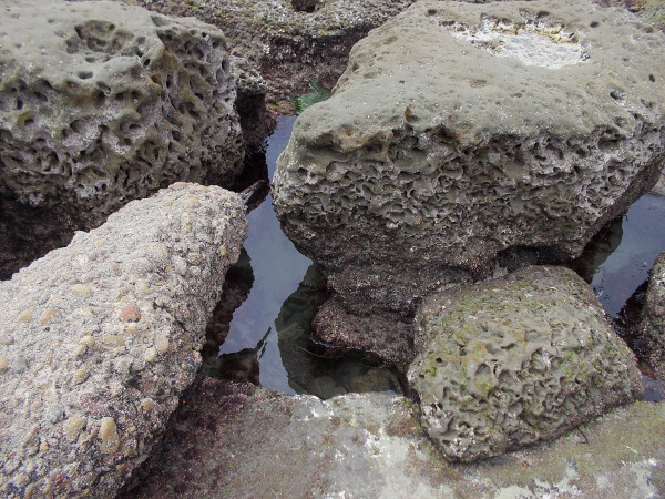 Hidden channels and eroded surfaces in the irregular, pitted sandstone.