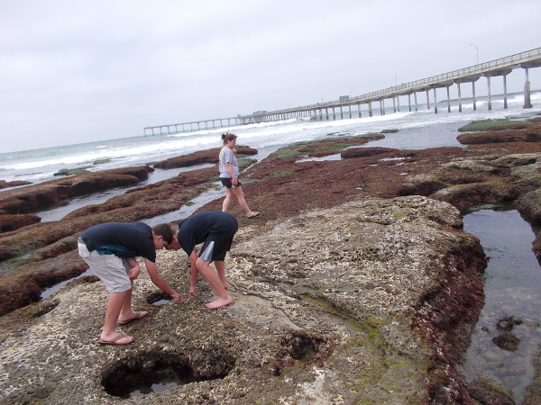 Lots of amazing discoveries to be made!