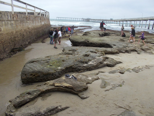 Adventures in progress.