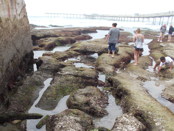 Right up next to the sea wall.