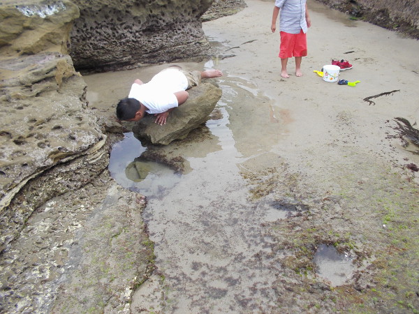 There's lots of exploring to do!