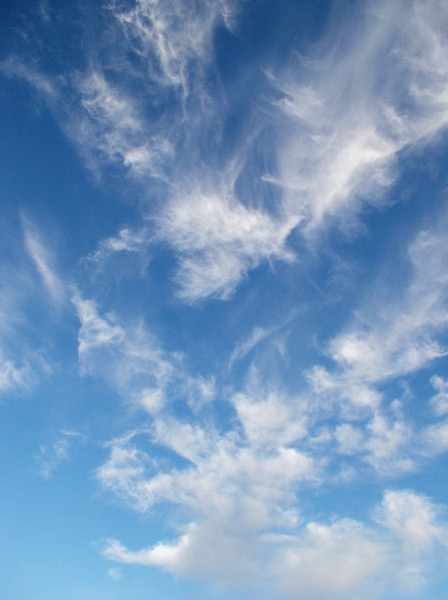 Swirly, curly, windswept clouds high in the blue San Diego sky, like a delicate dream.