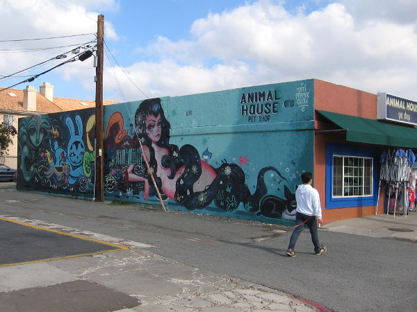 The Animal House Pet Shop has a big, cool mural spray painted on its side.