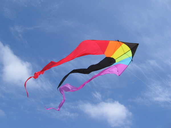 And high above those bubbles was this kite. I love San Diego.