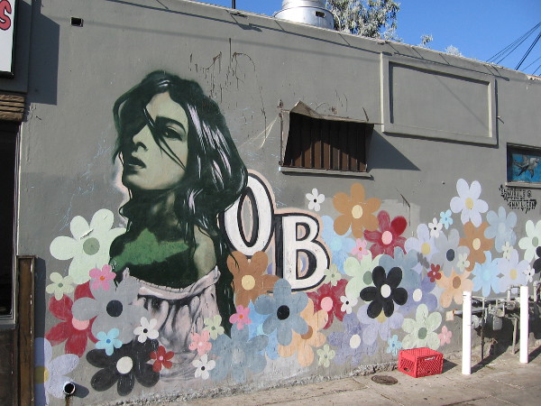 Wander the streets of OB and you'll encounter all sorts of very cool urban art, including many colorful faces.