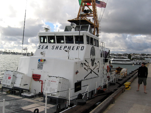The Sea Shepherd Conservation Society's old Coast Guard patrol boat, renamed M/V Farley Mowat, is docked this weekend on San Diego's Embarcadero.