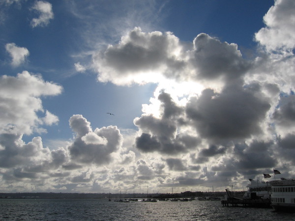 A seagull flies above San Diego Bay as the sun illuminates fantastic, stormy clouds.