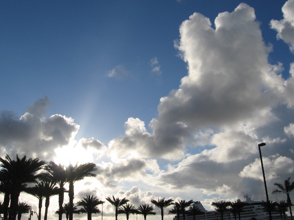 A simple photograph taken one spring day in wonderful San Diego.