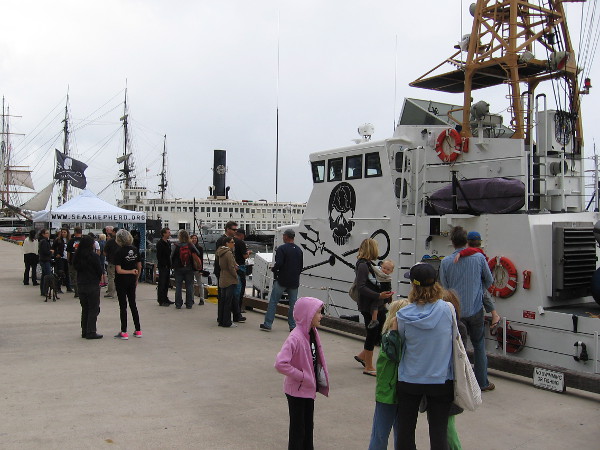 Interested people and crew mingle before boarding the Sea Shepherd boat in San Diego.