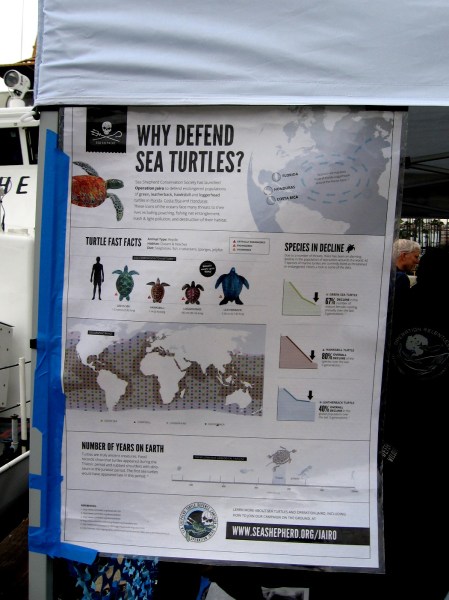A detailed poster explains why sea turtles should be defended. Click to enlarge. San Diego's South Bay has its own small group of migratory green sea turtles.