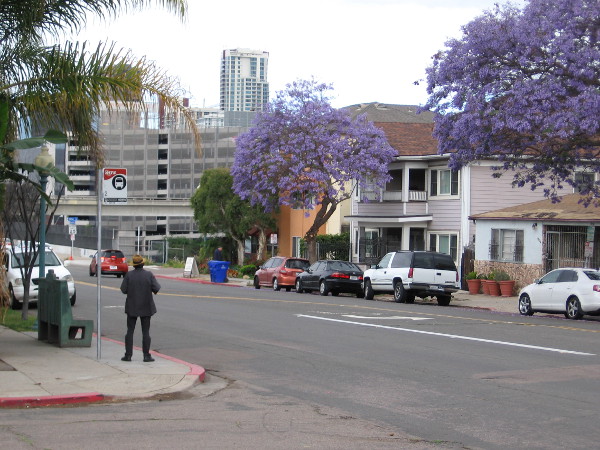 Looking back west toward downtown. Many jacaranda trees line San Diego's streets. A man waits at a bus stop.