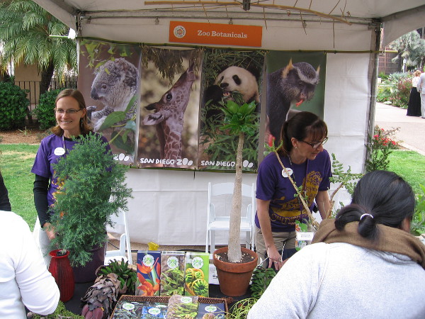 A botanicals exhibit explained how the San Diego Zoo isn't merely saving endangered animal species, but saving rare plants, too! I'm going to blog about it shortly.
