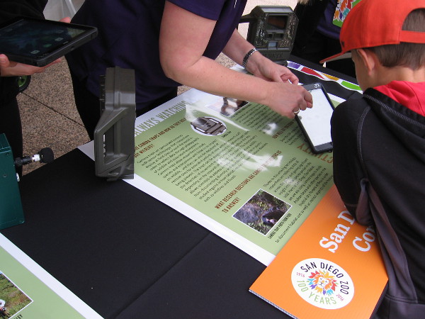 Another exhibit showed how the zoo helps wildlife researchers using modern digital recording technology in the field.