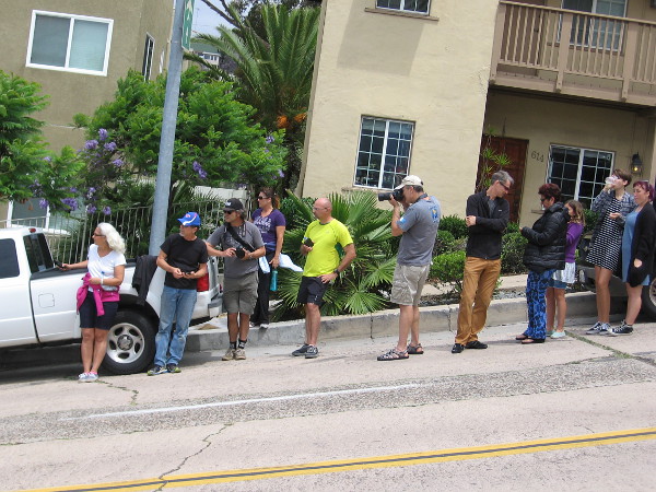 Cameras at the ready!