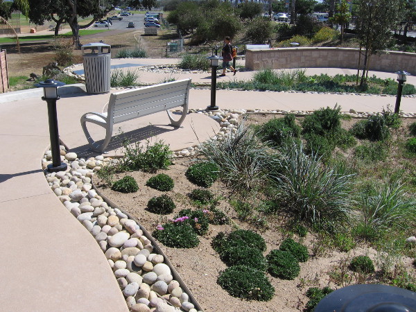 Walking down a winding path toward Robb Field. Life is a one way meandering journey.