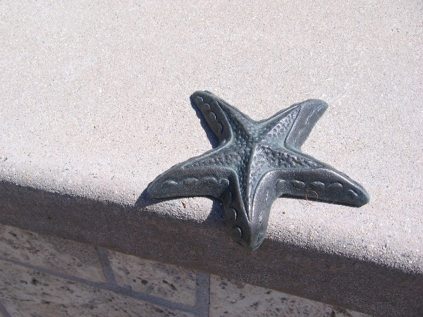 Public art on an Ocean Beach wall. All starfish are beautiful, alike but different.