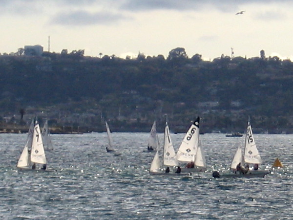 A zoomed photo of the sailboats dancing across San Diego Bay.