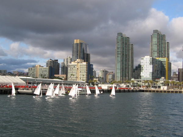 The leading sailboats approach San Diego's Cruise Ship Terminal, as gleaming skyscrapers rise in the background.