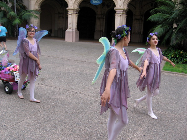 These young ladies informed me that they were dressed as garden fairies.
