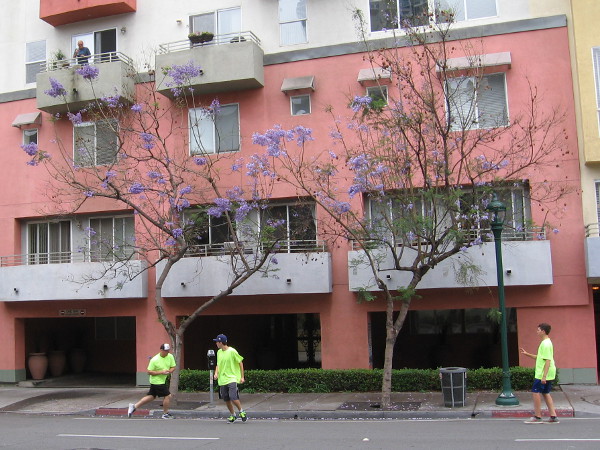 Someone watches the game from high up on their balcony. I believe hitting a fly into a building is considered a foul. Unlike baseball, a foul or a strike is called out. Tough rules.