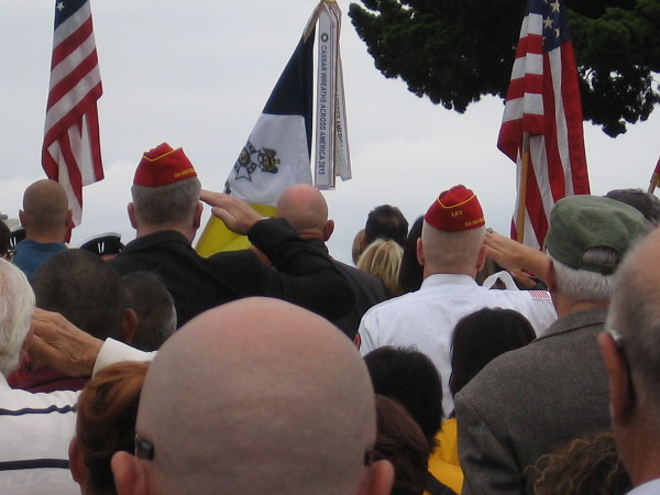 Veterans salute. Respect is shown for the flag.